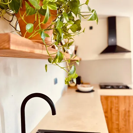 Casa Mira Luxury Sea House Fco Airport Apartment