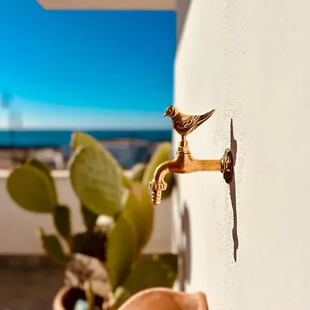 Apartment Casa Mira Luxury Sea House Fco Airport