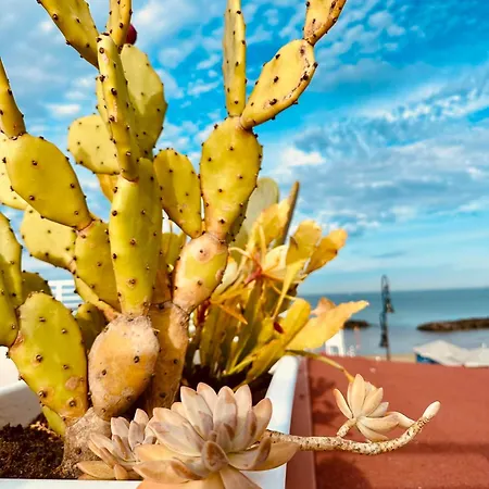 Apartment Casa Mira Luxury Sea House Fco Airport Fiumicino