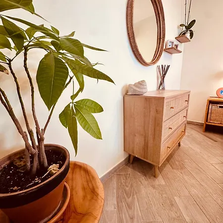 Casa Mira Luxury Sea House Fco Airport Apartment