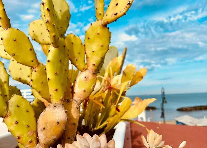 Daire Casa Mira Luxury Sea House Fco Airport Fiumicino